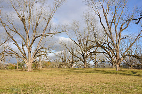 Introduction to Woodville, MS | Mississippi, MS